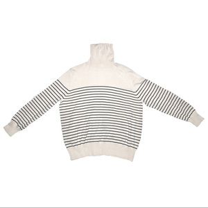 Striped Long Sleeve Turtle Neck